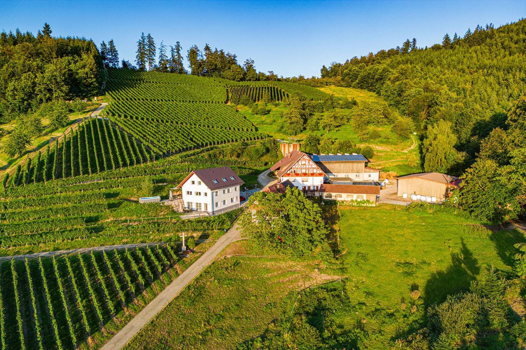 Lautenbach Paradieshof מראה חיצוני תמונה